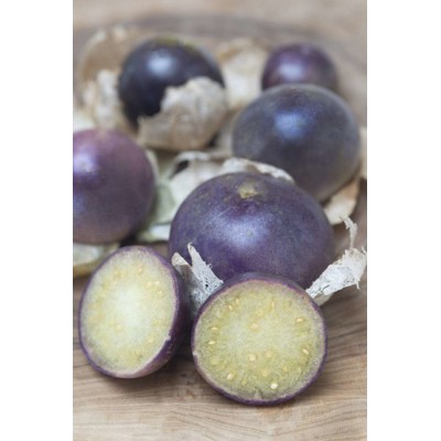 Machovka peruánska, purple de milpa (semená)